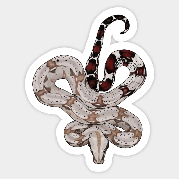 Red Tailed Boa Sticker by Tinker and Bone Studio